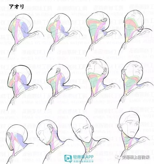 不会画头像？这100张高清素材赶紧收藏，平面设计必备！